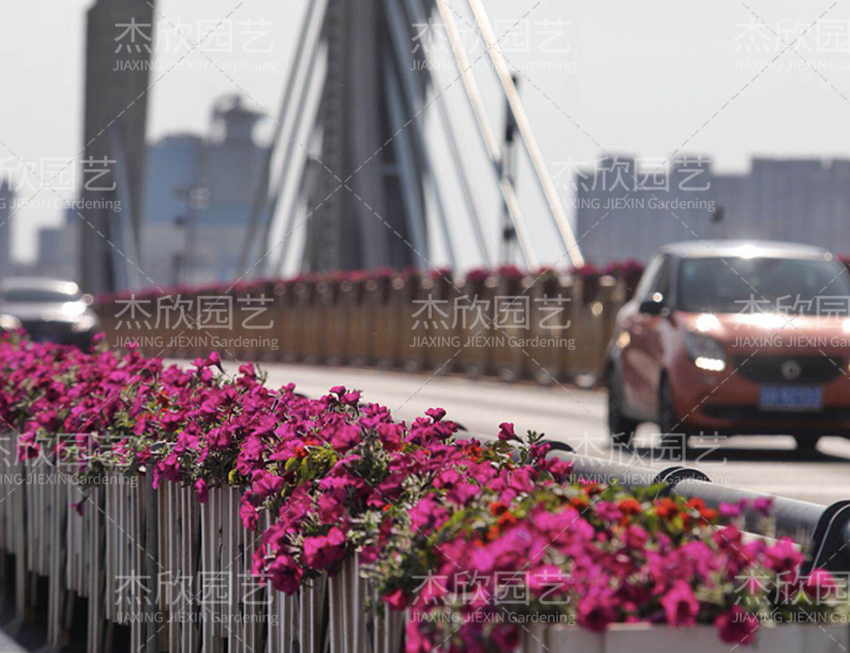 鋁合金創(chuàng)意花箱有哪些款式？